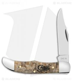 Case Pocket Hunter Knife 2.75" Smooth Box Elder (72165 SS)