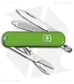 Victorinox Swiss Army Knife Classic SD Smashed Avocado