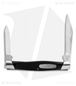 Buck Knives Buck Companion Knife 3" Black Valox 0309BKS